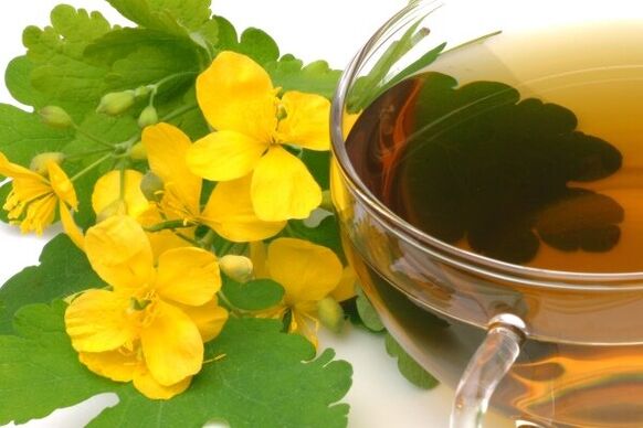 infuzija celandina za zdravljenje prostatitisa